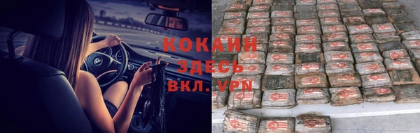 сатива Аркадак