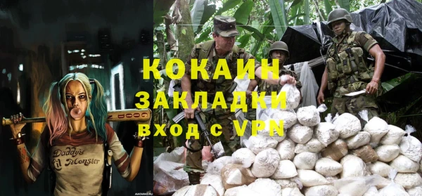 сатива Аркадак
