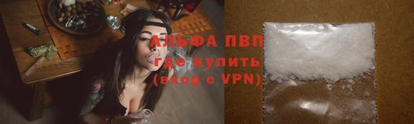 сатива Аркадак