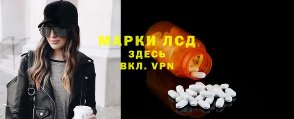 сатива Аркадак