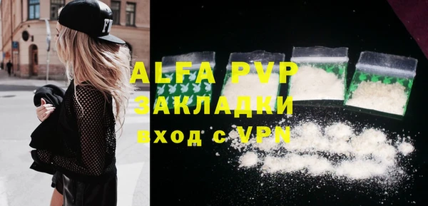 сатива Аркадак