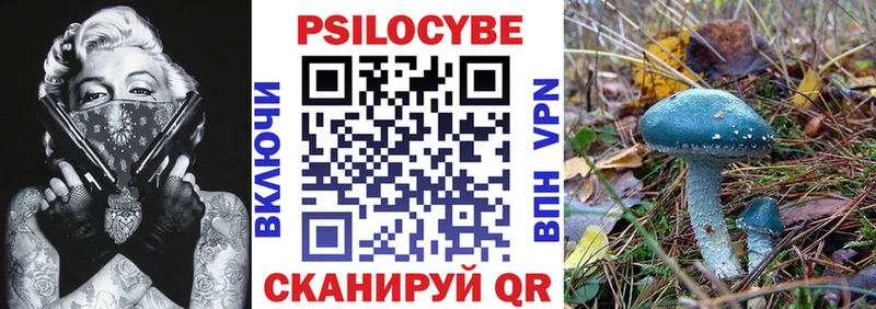 как найти закладки  Вяземский  omg онион  Галлюциногенные грибы Psilocybe 